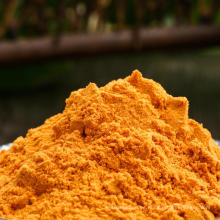 Goji Berry Powder / Wolfberry Powder